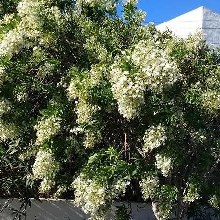 بيت للعطل Casa Montana De