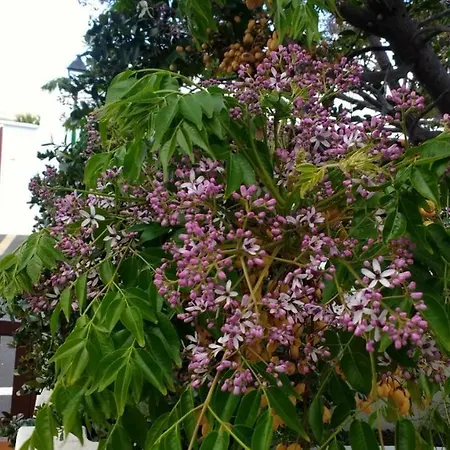 بيت للعطل Casa Montana De Tahiche